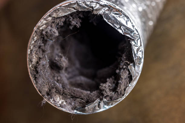 Best Professional Duct Cleaning Services  in Diamond Bar, CA